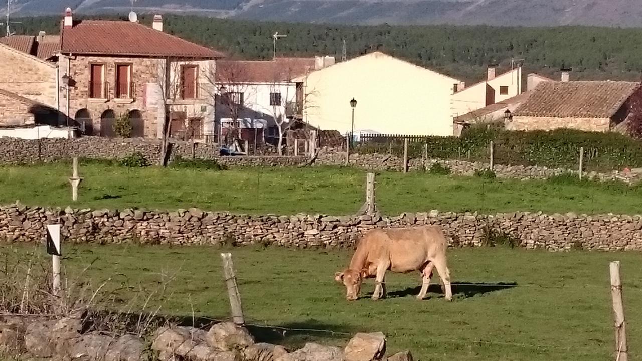Posada La Fragua Gandullas Exteriér fotografie